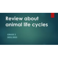 مراجعة Review about animal life cycles العلوم المتكاملة الصف الثالث - بوربوينت