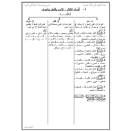 شرح وتدريبات في النحو اللغة العربية الصف الأول إلى السابع