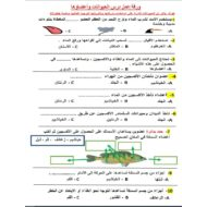 ورقة عمل الحيوانات وأعضاؤها العلوم المتكاملة الصف الثالث