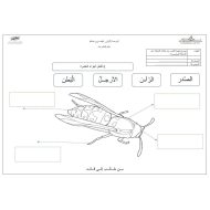 ورقة عمل عالم الحشرات اللغة العربية الصف الثالث