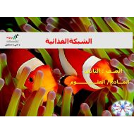 حل درس الشبكة الغذائية العلوم المتكاملة الصف الثاني - بوربوينت