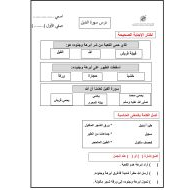 ورقة عمل درس سورة الفيل التربية الإسلامية الصف الأول