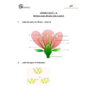 تدريبات كتابة Written exam العلوم المتكاملة الصف السادس انسبير