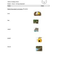 امتحان Writing Assessment اللغة الإنجليزية الصف الثالث