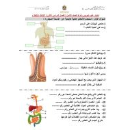 العلوم المتكاملة اختبار تجريبي (الجهاز الهضمي) للصف الثامن مع الإجابات