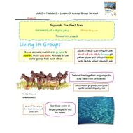 ملخص درس Animal Group Survival العلوم المتكاملة الصف الثالث