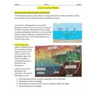 ملخص وأوراق عمل Cycling of Matter العلوم المتكاملة الصف السابع