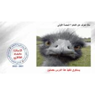 حل درس ماذا تعرف عن النعام اللغة العربية الصف السابع – بوربوينت