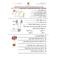 العلوم المتكاملة أوراق عمل (اختبار تجريبي) للصف الثامن مع الإجابات