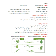 الأحياء ملخص (الأوراق) للصف الحادي عشر متقدم