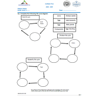 العلوم المتكاملة أوراق عمل بالإنجليزي للصف الثاني