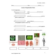 أوراق عمل Levels of Organization العلوم المتكاملة الصف السادس