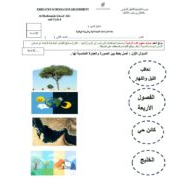 الاختبار القصير الأول الدراسات الإجتماعية والتربية الوطنية الصف الثاني