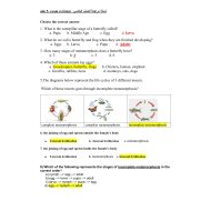 حل أوراق عمل exam revision الوحدة الثانية والثالثة العلوم المتكاملة الصف الخامس