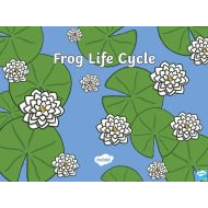 درس Frog life cycle العلوم المتكاملة الصف الثاني - بوربوينت