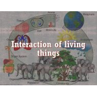 درس Interaction of living things العلوم المتكاملة الصف الخامس - بوربوينت