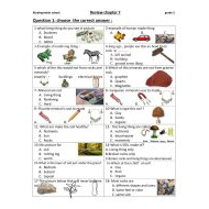 العلوم المتكاملة أوراق عمل (Chapter 7 Lesson 1-2-3) بالإنجليزي للصف الثاني مع الإجابات