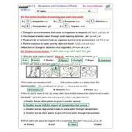 حل أوراق عمل Structures and Functions of Plants العلوم المتكاملة الصف الرابع