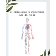 ملخص Organization of the nervous system الأحياء الصف التاسع متقدم