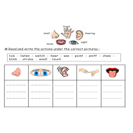 اللغة الإنجليزية أوراق عمل (Vocabulary) للصف الرابع