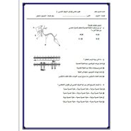 ورقة عمل تقييم ختامي تركيب الجهاز العصبي 1 الأحياء الصف التاسع متقدم