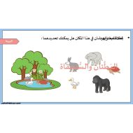 حل درس البطتان والسلحفاة اللغة العربية الصف الثاني - بوربوينت