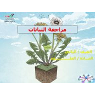 مراجعة وحدة النباتات العلوم المتكاملة الصف الثاني - بوربوينت