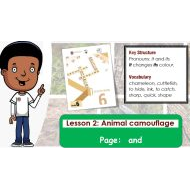 حل درس Animals camouflage اللغة الإنجليزية الصف السادس Access - بوربوينت