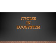 درس Cycles in ecosystem العلوم المتكاملة الصف الخامس - بوربوينت