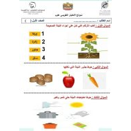 نموذج الاختبار التقويمي العلوم المتكاملة الصف الأول - بوربوينت