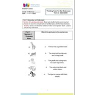 حل نموذج تدريبي Training form for the final exam اللغة الإنجليزية الصف الرابع