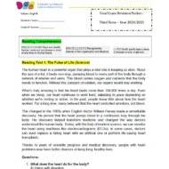 حل نموذج تدريبي اللغة الإنجليزية الصف الثامن عام