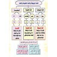 مراجعة وتدريبات على التاء المربوطة والتاء المفتوحة والهاء اللغة العربية الصف الثاني - بوربوينت