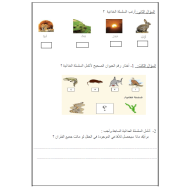 العلوم المتكاملة ورقة عمل (الشبكة الغذائية) للصف الثاني