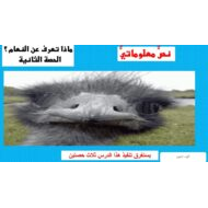 حل درس ماذا تعرف عن النعام اللغة العربية الصف السابع - بوربوينت