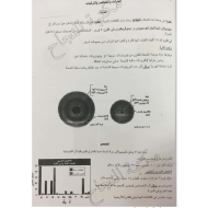 الأحياء أوراق عمل ملزمة (الوحدة الأولى - الثانية) للصف التاسع متقدم