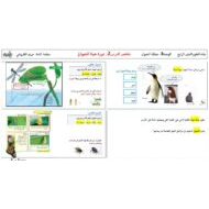 ملخص درس دورة حياة الحيوان العلوم المتكاملة الصف الرابع