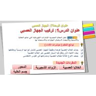 حل درس تركيب الجهاز العصبي الأحياء الصف التاسع متقدم - بوربوينت