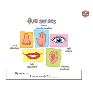 اللغة الإنجليزية أواق عمل (Five senses) للصف الثاني