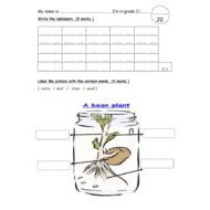 الاختبار التقويم الأول Unit 5 اللغة الإنجليزية الصف الثاني