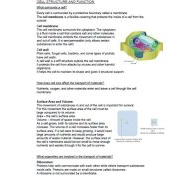 ملخص CELL STRUCTURE AND FUNCTION العلوم المتكاملة الصف السادس