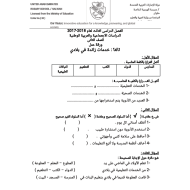 الدراسات الإجتماعية والتربية الوطنية ورقة عمل خدمات زائدة في بلادي للصف الثاني