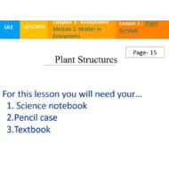 حل درس Plant Structures العلوم المتكاملة الصف الخامس - بوربوينت