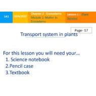 حل درس Transport system in plants العلوم المتكاملة الصف الخامس - بوربوينت