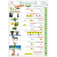 حل ورقة عمل التقويم الأول العلوم المتكاملة الصف الثاني