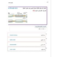 حل امتحان نهاية الفصل الأحياء الصف التاسع الفصل الدراسي الثاني