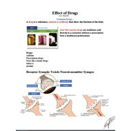 ملخص Effect of Drugs الأحياء الصف التاسع