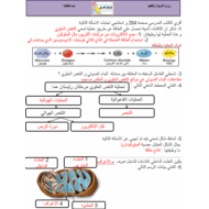 الأحياء ورقة عمل (التنفس الخلوي) للصف العاشر مع الإجابات
