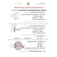 العلوم المتكاملة اختبار تجريبي (المرايا والعدسات) للصف الثامن مع الإجابات