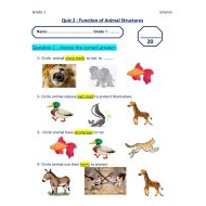 ورقة عمل Function of Animal Structures العلوم المتكاملة الصف الأول